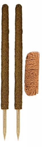 Novatool 2 tutores de 110 cm, varilla de musgo, hilo de coco de 25 m, varillas de coco, unión de plantas de fibra de coco natural