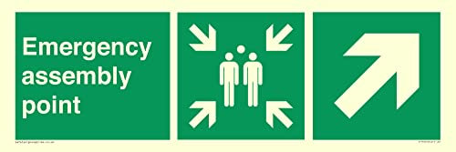 Schild mit Pfeil nach oben und rechts, 600 x 200 mm, L62