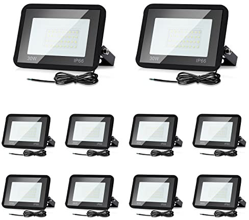 Izrielar Faretto LED da 30W per Esterni, 10x LED Proiettore Super Luminoso 2550LM, Impermeabile IP66, Luce Bianca Fredda 6000K Illuminazione Esterna, Luce per la Decorazione di Halloween del Giardino