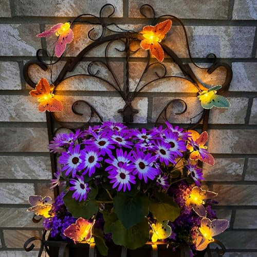 Online Fuchs LED Solar Lichterkette für außen, outdoor - 15 warmweiße LEDs in Fiberglas-Optik - Bunte Schmetterlinge oder Libellen (Schmetterling)