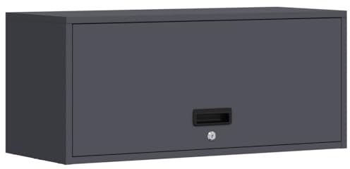 Mhdvray Armoire de garage, anthracite, 80 x 33 x 35 cm, en acier revêtu par pulvérisation, avec porte de vérin à gaz et serrure à loquet, robuste pour cave, balcon, bureau