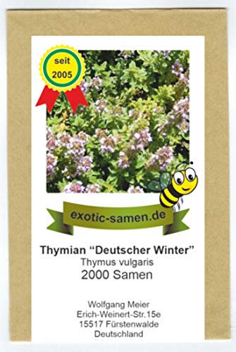 Garten-Thymian Deutscher Winter - Thymus vulgaris - 2000 Samen