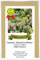 Garten-Thymian Deutscher Winter - Thymus vulgaris - 2000 Samen