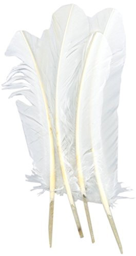 ERGEOB 20 stück Truthahnfedern basteln Federn Bogen Federn 20-30cm weiß