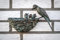IDYL Bronze-Skulptur Vogelnest | 14x8x22 cm | Tierfigur aus Bronze handgefertigt | Gartenskulptur oder Teich-Dekoration | Hochwertiges Kunsthandwerk | Wetterfest