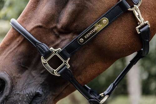 Kentucky - Namensschild Halfter Gold