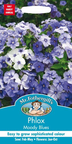 Mr Fothergills - Pictorial Packet - Flower - Phlox Moody Blues -175 Seeds