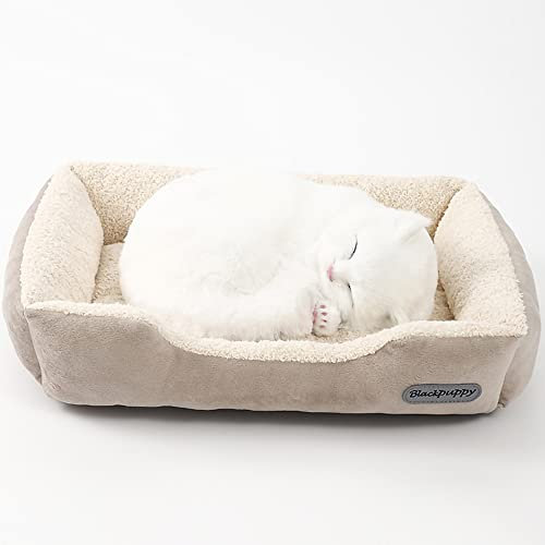 Nyescasa Hundebett Katzenbett Hundesofa Katzensofa Hundematte Katzenschlafplatz Hundekörbchen Katzenkissen Hundekissen Orthopädische Waschbar Rutschfest für Kleine Hunde und Katzen Beige S(40*31*10)