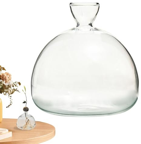 Avocado Vase Glas, Aufzucht-Glas Für Kastanien, Eicheln Hochwertiges Keimglas Pflanzgefäße Für Den Gartenbau Aufzuchtset Für Kerne, Samen, Keime Besonderes Garten Geschenk