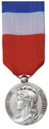Générique Médaille d'Ancienneté du Travail Argent 20 Ans