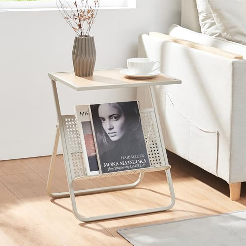 [en.casa] Beistelltisch mit Zeitungsablage Jäller Wohnzimmertisch mit Ablage Stauraum 48 x 40 x 30 cm Metall Beige/Eicheoptik