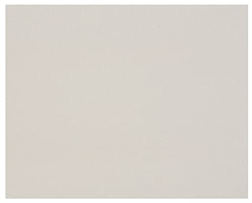 Clairefontaine 93977C Packung (mit 10 Bögen Pappe, 80 x 120 cm, 1 mm, 600 g, ideal für Modellbau, leicht und glatt, 100% recycelt) 10er Pack grau