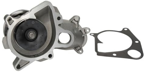 Saleri SIL PA1072 Bomba de Agua