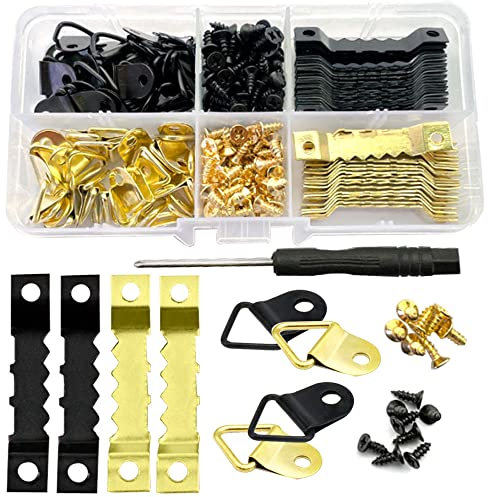 Dtoterul Crochet pour Cadre Photo 251 Pièces Crochets de Suspension pour Cadre Photo Kit de Suspension de Tableaux Crochet Tableau à Visser Invisible Fixation Acroche Cadre Cintres en Dent de Scie