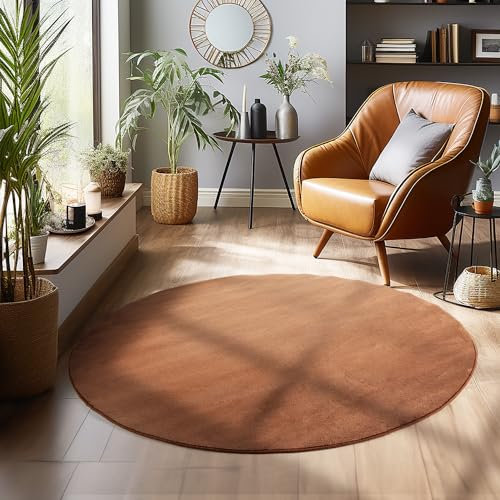 SIMPEX Teppich Wohnzimmer Schlafzimmer Esszimmer Läufer Flur Flauschiger Teppich Waschbar rutschfest Soft Weich Carpet Kurzflor Größen, Braun, 120 cm Rund