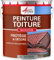 Peinture toiture, tuile, ciment et terre cuite - 10 L Gris fenetre - RAL 7040 - ARCANE INDUSTRIES
