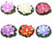 Amosfun 1 Satz Lotus Schwimmende Wasserlampe Brunnen Pflanzenbewässerungskugeln Schwimmbad Gartenbeleuchtung Led Schwimmkerze Künstlicher Lotus Künstliche Schwimmende Plastik 6st