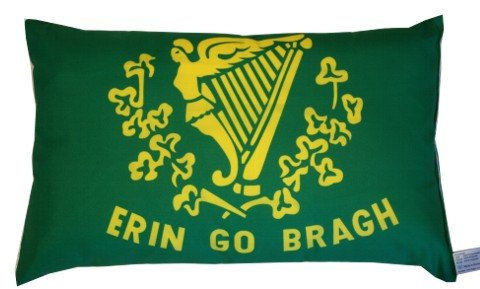 Irland Kissen Fahnen Deko Autokissen Erin go Bragh Fan beide, ca. 28 x 40 cm
