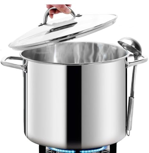 HOMICHEF 15L Nickel Free Stainless Steel Stock Pot with Lid - Mirror Polish Healthy Cooking Pot (29cm) - Non Toxic Heavy Duty Induction Stockpot