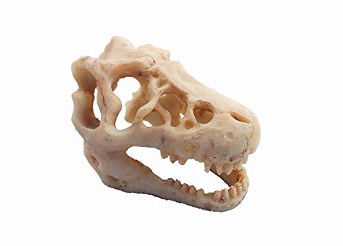 XIZHI Aquarium dekoriert Skelett Loch Harz künstlicher Dinosaurier Skelett Ornament Aquarium dekoriert Höhle Landschaft Haustier Reptilien Haus (Dinosaurier Schädel)