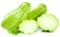 80 Pcs Chayote Samen Bio - Sechium Edule - Gartenkräuter Samen, Exotische Zimmerpflanzen, Chayote Frucht Samen, Gemüsebeet Winterharte Kübelpflanzen, Gemüse Bio Saatgut, Grünpflanzen