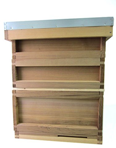 Easipet 23461 National Beehive with Two Super Boxes 175