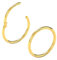 Body CAC Gold 2PCS-20G(0.8mm) 6mm Hinged Snug Fit Nose Rings, Medical Implant Grade 316L Surgical Steel Segment Clicker Hoop Piercing Lip Helix Cartilage Rook Ring Earrings