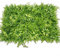 EpheyFIF Künstliche Pflanzen-Wandpaneele, 40 x 60 cm, grünes Gras, Wandhecke, Wandpaneele, Sichtschutzzaun, Garten, Spalier, Blattschutz, Hintergrund für Innen- und Außendekoration (1#)