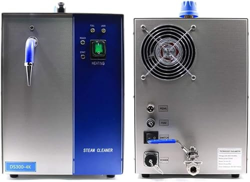 Nettoyeur De Bijoux Machine De Nettoyage à La Vapeur Or Et Argent Acier Inoxydable 2l / 4l Nettoyeur à Vapeur D’Argent Et D’Or Orfèvrerie Équipement Industriel pour Bijo, 4L, 220V