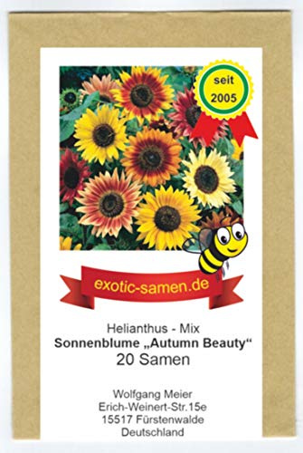 Sonnenblume - Bienenweide - Autumn Beauty - Samenmischung - 20 Samen