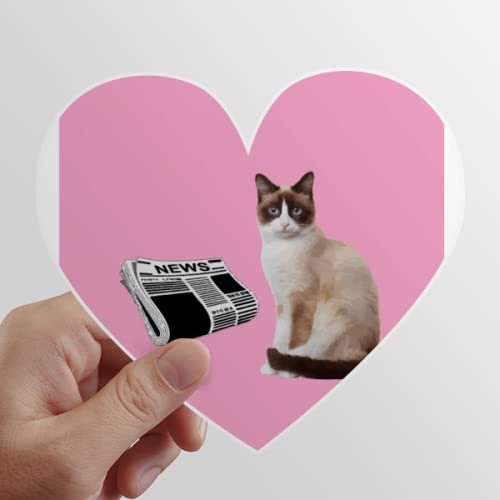 Cat Read Body Twisting Art Deco Mode Heart Vinyl Sticker Gepäckaufbewahrung Graffiti Decal