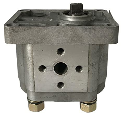 Pompa ad ingranaggi Pompa dell'olio idraulico CBN-E310 E314 E306 E320 E325 E316 CAIHUA(CBN-E310,Flat key shaft)