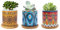 FORAGIFT 7.5CM Succulent Plant Pot, Ceramic Mandala Pattern Cactus Plants Pot, Small Plant Pots for Indoor Outdoor Plants with Bamboo Tray, and Great for Home Office Decor, Set of 3