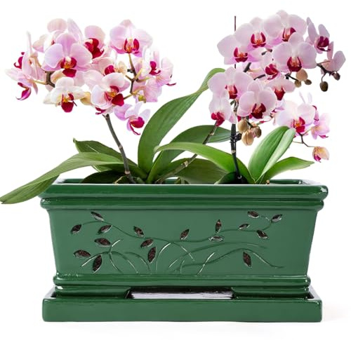 Tbpro Large Rectangle Terracotta Orchid Pots with Holes Green 12 * 6.3 * 5.3 Inch Clay Orchid Planter Pots with Saucer for Repotting Plant Pots Orchid Indoor Outdoor Promotes Air Circulation