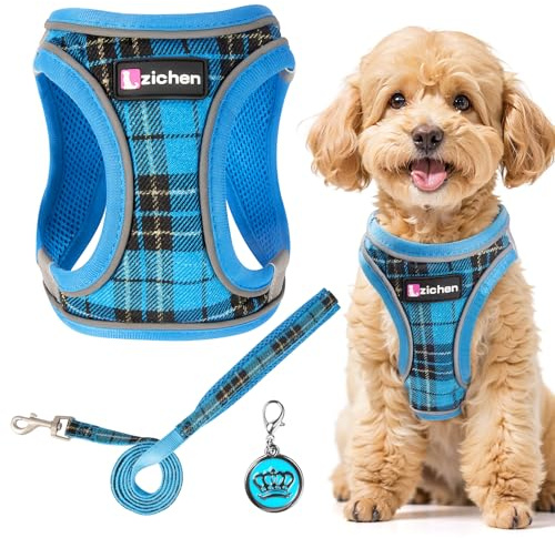Hundegeschirr Kleine Hunde mit Leine, Verstellbares Step-In Welpengeschirr, Reflektierendes, Atmungsaktives Hundegeschirr für Welpen, für Spaziergänge, Training, Outdoor-Aktivitäten