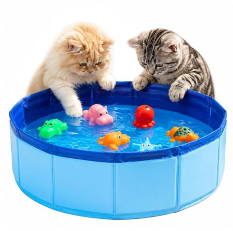 Piscinetta per Gatti 50x10cm Piscina Gatti Piccolo con 6 Giocattoli