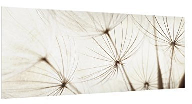 Bilderwelten Spritzschutz Glas - Sanfte Gräser - Panorama Quer, HxB: 40cm x 100cm