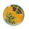 Thun Rose & Tulipani - Nador Country Life Set 2 Piatti Insalata Melamina 21cm Gb, Nylon/A