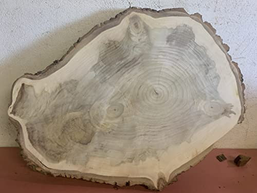 Baumscheibe, Holzscheibe, Tischplatte ca. 70x50x5cm Epoxidharz Cocutisch