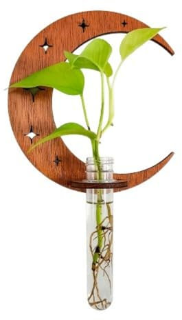 Rundes hohles geschnitztes hängendes Holzregal, Pflanze Hängendes Holzregal Vase, Hängende Propagation Station Wandvase Reagenzglas Für Innendekoration Wanddekoration Wohnzimmer (Mond)