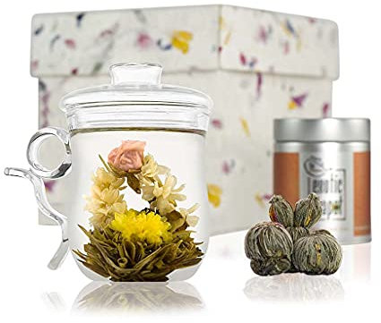 The Exotic Teapot - Glass Mug Flowering Tea Gift Set, Tea Infuser Mug (350ml) with Drip Tray Lid, Sampler Tin of Blooming Tea, Gift Box