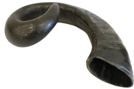Natural Treats Extra Large Buffalo Horns for Dogs (1pc) Long Lasting Grain Free Hypoallergenic Dental Chew Treats