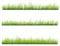Apalis Wandtattoo No.328 Gras Set Pflanzen Blätter Grün Wiese Grashalme