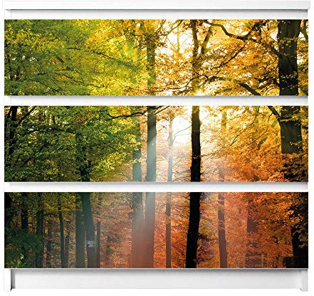 banjado® Möbelfolie selbstklebend für die IKEA Malm Kommode 3 Schubladen - Schrankfolien selbstklebend mit Motiv Herbstwald/Möbelfolie Malm für Kinder