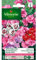 Vilmorin - Oeillet Mignardise simple varié (remplace double)
