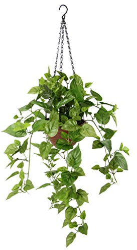 Künstliche Hängepflanze Efeutute mit Hängeampel Philohängeampel Kunstpflanze Efeu hängend Deko Rankende Girlande Pflanzenampel Grünpflanze Zimmerpflanze Kletterpflanze Efeuranke Kette Girlande Busch