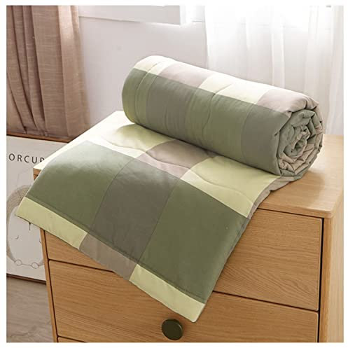 RRNAR Sommer Bettdecke aus Gewaschene Baumwolle, Dünne Steppdecke für Einzelbett, Wendedesign Sommerbettdecken ohne bezug nutzbar, Leichte & Weiche Sommerdecke,C,150x200cm