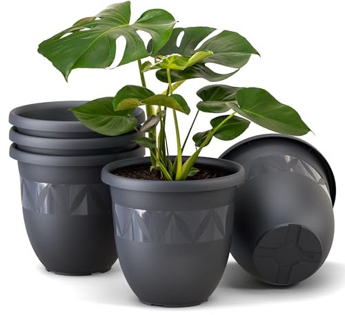 Plastard Übertopf 5er Set Durchmesser 24 cm Anthrazit Blumentopf für Innen und Außen aus Kunststoff Pflanztopf für Balkon Terrasse Pflanzkübel Kräutertopf