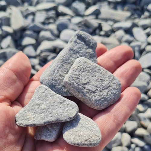 Dekosteine Grauer Kieselstein Fish Stone Kieselsteine Deko Verschiedene Natur Deko Kieselsteine Grau 1-3cm - Gemischter Flusskies für Vasenfüller, Landschaftsbau, Aquarien & Garten (10, Kilogramm)