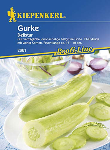 Gurkensamen - Salatgurke Delistar von Kiepenkerl